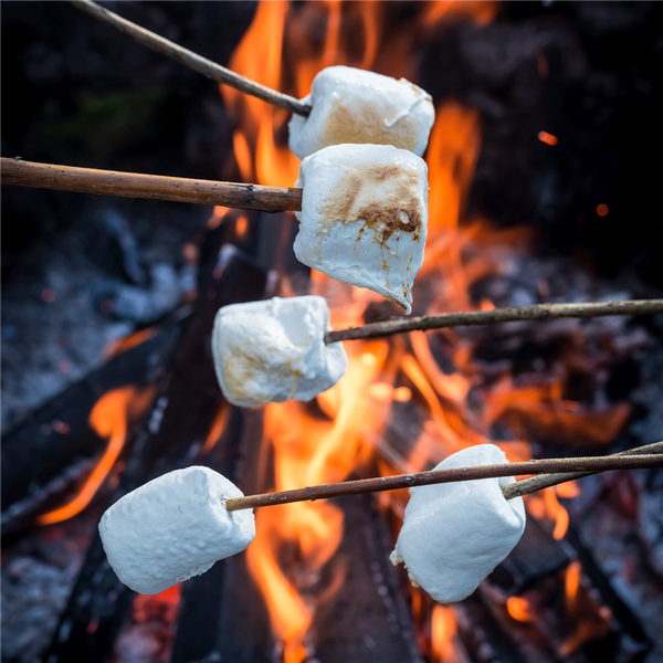 Campfire Marshmallow Fragrance Oil 995 - Zoom Media 1