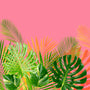 Jungle Lily Fragrance Oil - Zoom Thumbnail Media 1