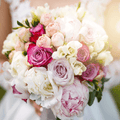 Peony Bouquet Fragrance Oil