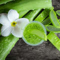 Cactus Flower & Aloe Fragrance Oil 1104