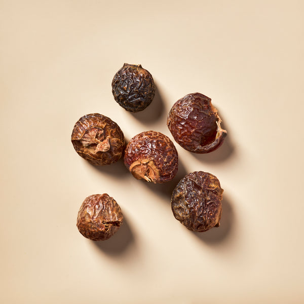 Soap Nuts - Zoom Media 1