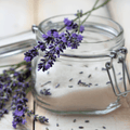 Lavender Vanilla Odor Neutralizing Natural Fragrance Oil