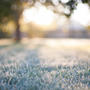 Crisp Morning Air Fragrance Oil 293 - Zoom Thumbnail Media 1