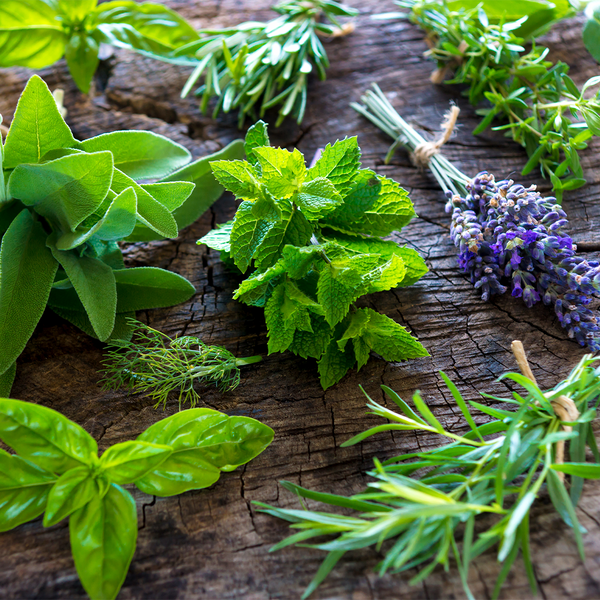 Sage & Vetiver Fragrance Oil - Zoom Media 1