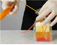Person conducting an experiment with a clear container and red liquid, wearing gloves.