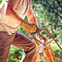 Lumberjack (KY) Fragrance Oil 15771 - Zoom Thumbnail Media 1