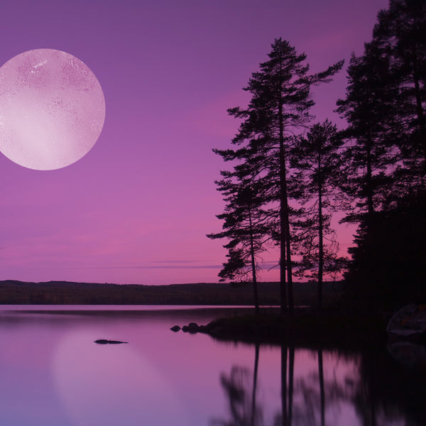 Moonlight Path Fragrance Oil 316 - Zoom Media 1