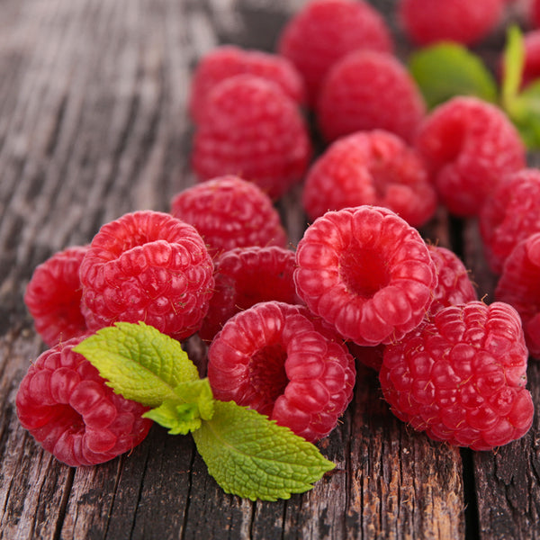 Raspberry Blitz Fragrance Oil - Zoom Media 1