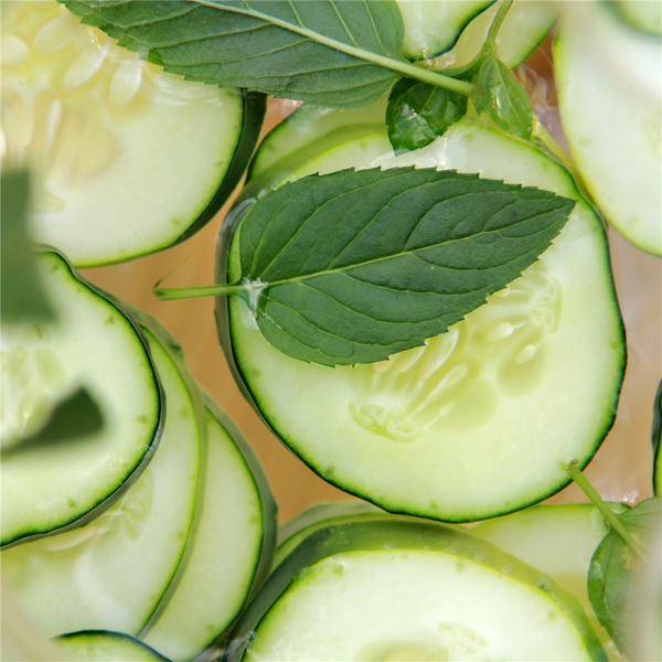 Cucumber Mint Fragrance Oil 312 - Zoom Media 1