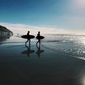 Coast Fragrance Oil