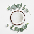 Coconut Eucalyptus Fragrance Oil