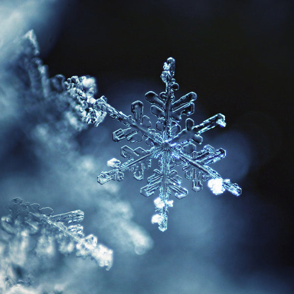 Sparkling Snowflake - EO & FO Blend 518 - Zoom Media 1