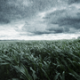 Thunderstorm Fragrance Oil 1261 - Zoom Thumbnail Media 1