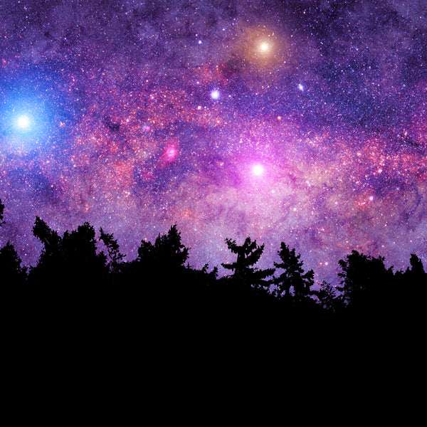 Beneath the Stars Fragrance Oil 341 - Zoom Media 1
