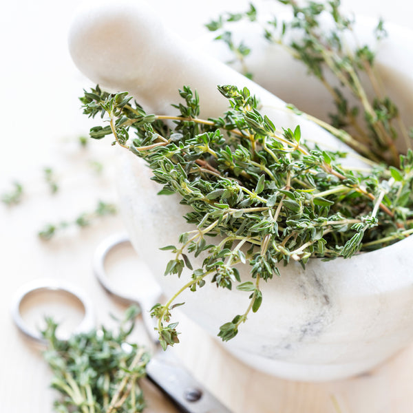 Lemongrass Mint - EO & FO Blend 379 - Zoom Media 1
