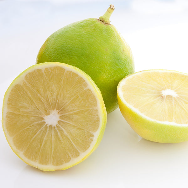 Bergamot Essential Oil - 100% Pure 731 - Zoom Media 1