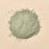 Sea Clay - aka French Green Clay
