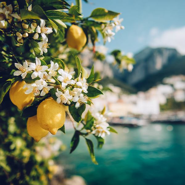 Capri Fragrance Oil - Zoom Media 1