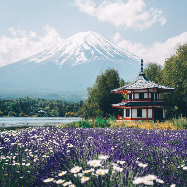 Japan Fragrance Oil - Zoom Media 3