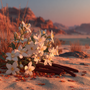 Mojave Ghost Fragrance Oil - Zoom Thumbnail Media 4