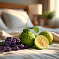 Snooze Button Fragrance Oil
