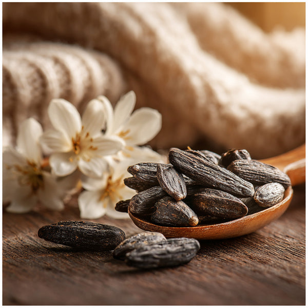 Loungewear & Lattes Fragrance Oil - Zoom Media 1