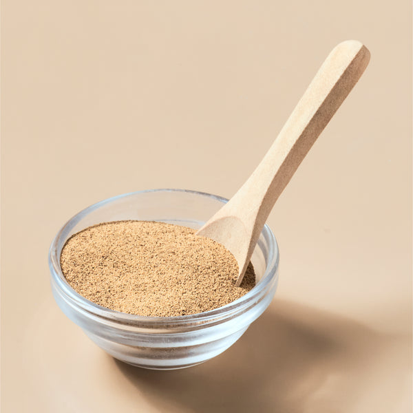 Walnut Shell Powder - close-up - Zoom Media 2