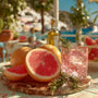 Pomelo & Pink Pepper Fragrance Oil - Zoom Thumbnail Media 1