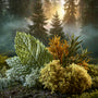 Moss & Fir Fragrance Oil 1072 - Zoom Thumbnail Media 1