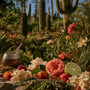 Cactus Garden* Fragrance Oil 1211 - Zoom Thumbnail Media 1