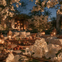 Evening Jasmine Fragrance Oil 626 - Zoom Thumbnail Media 1