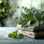 Eucalyptus & Spearmint* Fragrance Oil 101 - Zoom Thumbnail Media 1