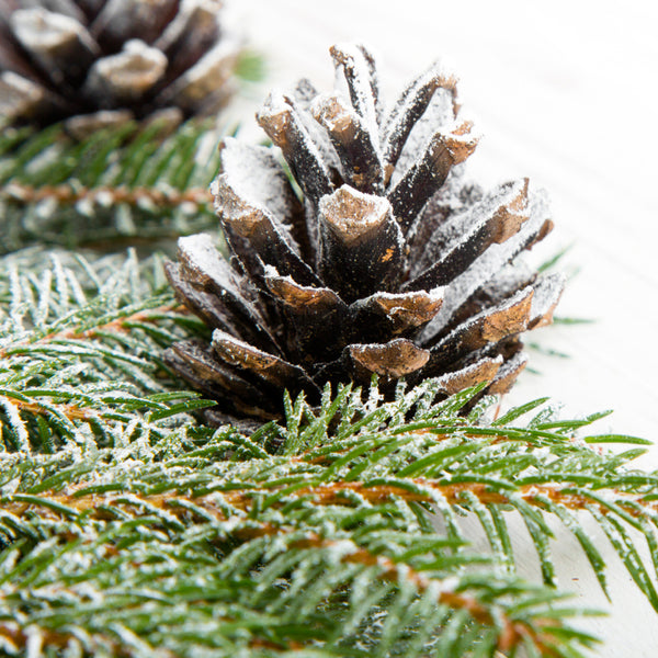 Sugared Spruce - EO & FO Blend 412 - Zoom Media 1