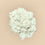 Aloe Vera Powder - 100X