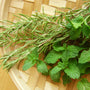 Rosemary Peppermint - EO & FO Blend 739 - Zoom Thumbnail Media 1