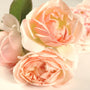 Sweet Bay Rose - EO & FO Blend 604 - Zoom Thumbnail Media 1
