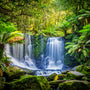 Rainforest Fragrance Oil 502 - Zoom Thumbnail Media 1