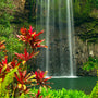 Madagascar - EO & FO Blend - Zoom Thumbnail Media 1