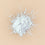 Arrowroot Powder