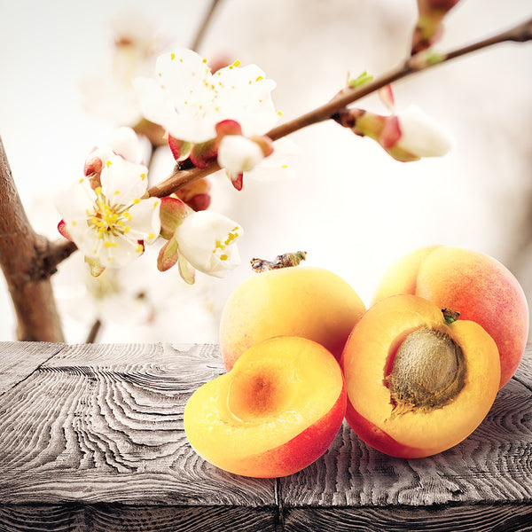 Apricot Freesia Fragrance Oil 155 - Zoom Media 1