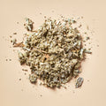 Sage - Botanical