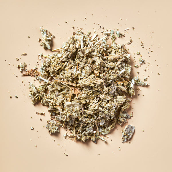 Sage - Botanical - Zoom Media 1