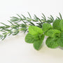 Revitalizing Rosemary Mint Fragrance Oil 209 - Zoom Thumbnail Media 1