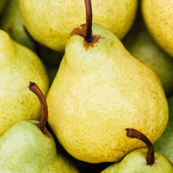 Sweet Juicy Pear Fragrance Oil 231 - Zoom Media 1