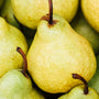 Sweet Juicy Pear Fragrance Oil 231 - Zoom Thumbnail Media 1