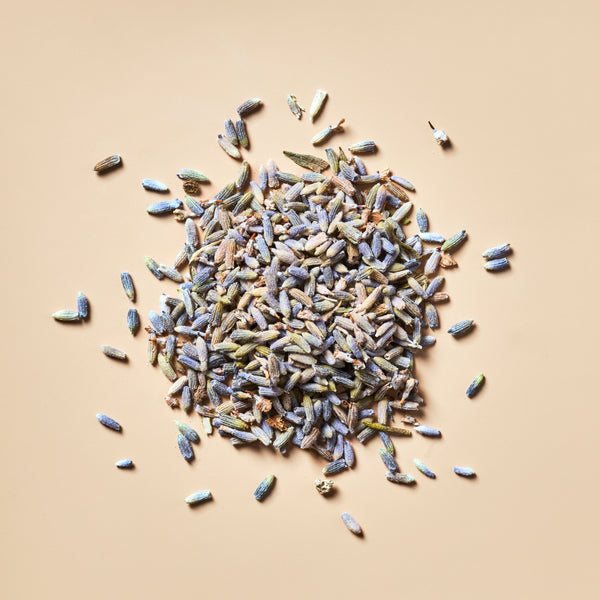 Lavender Buds - Premium Botanical - Zoom Media 1