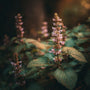 Patchouli Fragrance Oil 102 - Zoom Thumbnail Media 1