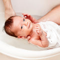 Baby Bee Buttermilk Fragrance Oil 442