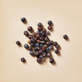 Juniper Berries (Blue) - Botanical
