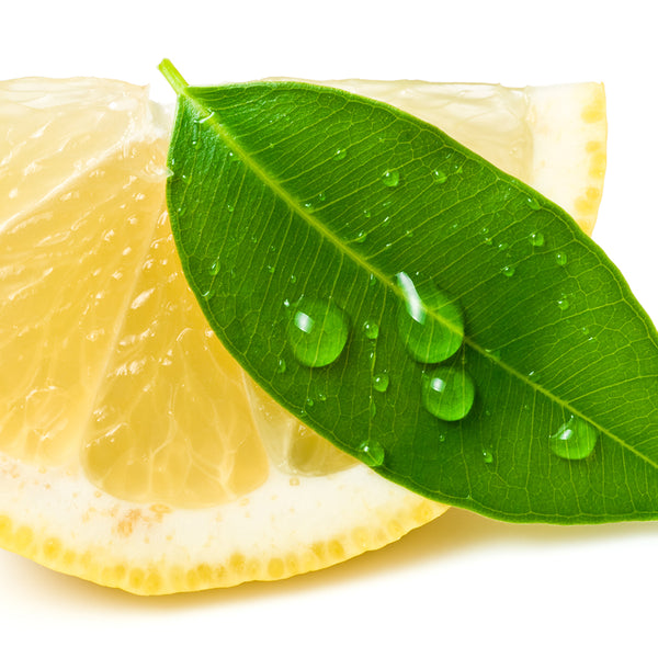 Lemon Eucalyptus Essential Oil - 100% Pure 598 - Zoom Media 1
